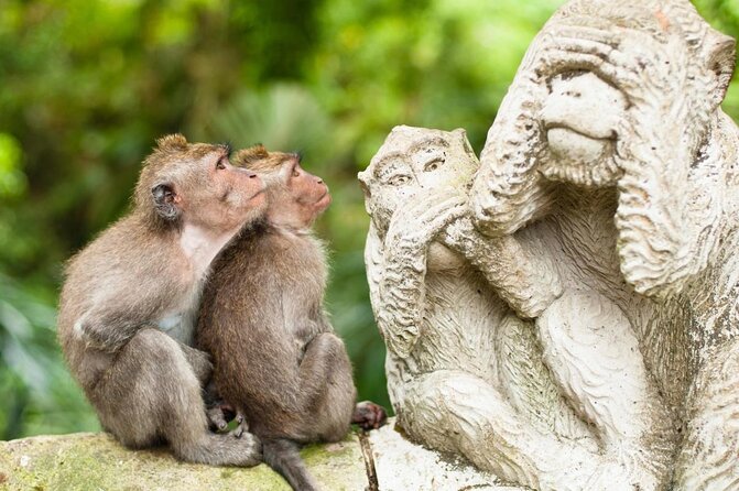 Ubud Natural Gems And Secret Waterfall Private Guided Tour - Key points at a glance