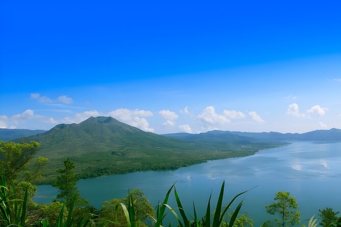 Ubud Village, Waterfall and Kintamani Volcano Tour - Ubud Palace and the Art Market finish the cultural circuit
