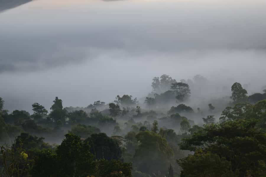 Ubud & Volcano Hot Springs Tours - What to bring and who will enjoy this most