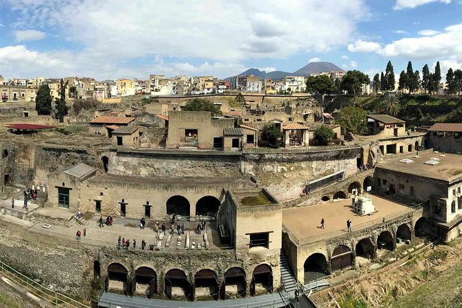 Vesuvius and Herculaneum Day Trip from Naples with Skip the Line - What kind of day trip is this?