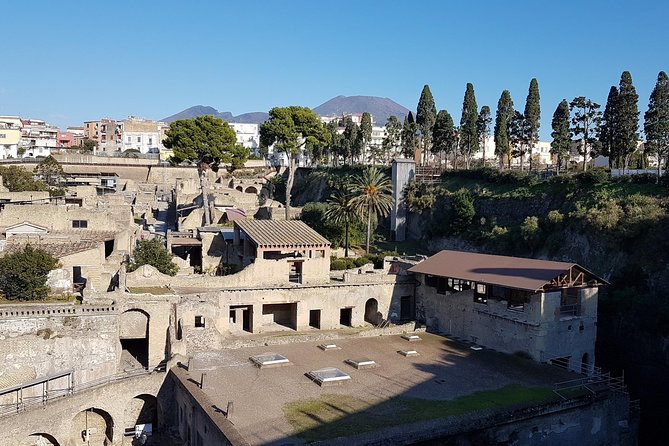 Vesuvius and Herculaneum Day Trip from Naples with Skip the Line - The biggest issue: time and transport