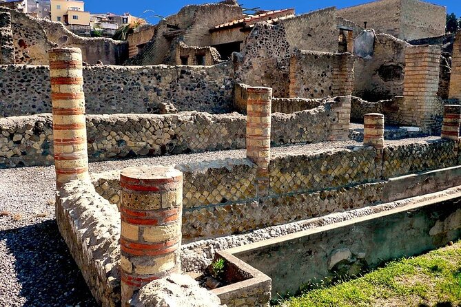 Vesuvius and Herculaneum Day Trip from Naples with Skip the Line - Is $120.41 good value?
