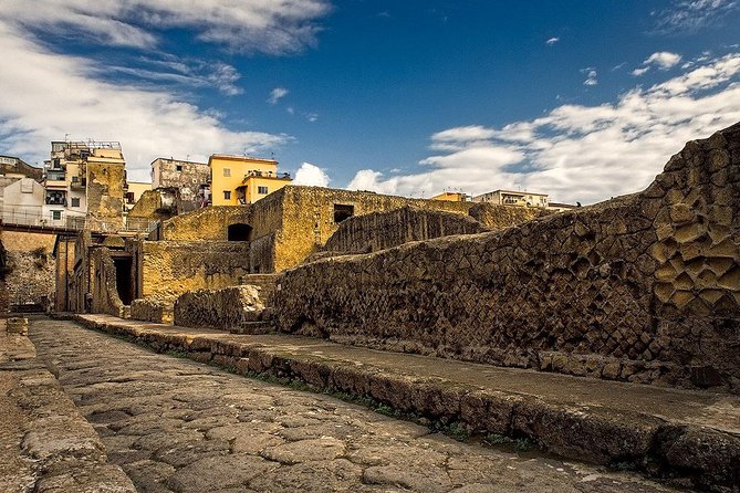 Vesuvius and Herculaneum Day Trip from Naples with Skip the Line - Meeting points, tickets, and schedule changes