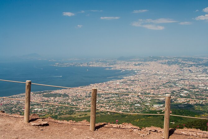 Vesuvius and Herculaneum Day Trip from Naples with Skip the Line - Who should book this experience?