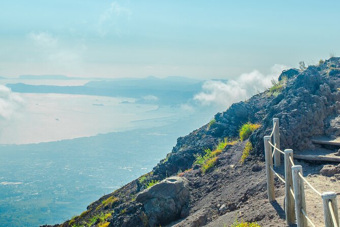 Vesuvius & Herculaneum Small Group Tour from Naples - Is $98.48 a good value?