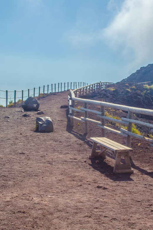 Vesuvius National Park Skip-The-Line Ticket and Audio Guide - Key points at a glance