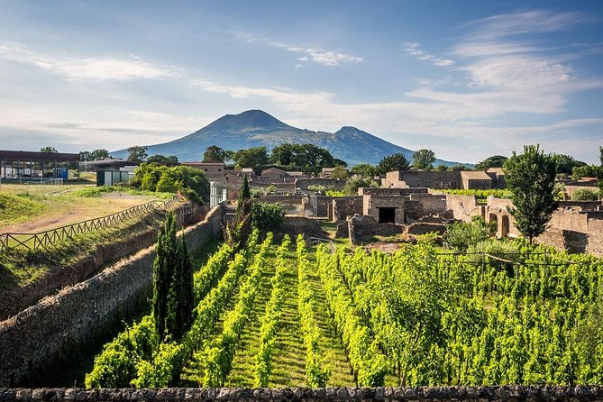 Vesuvius, Pompeii Ruins, experience vineyards and the winery tour with lunch. - A realistic look at the $365 price