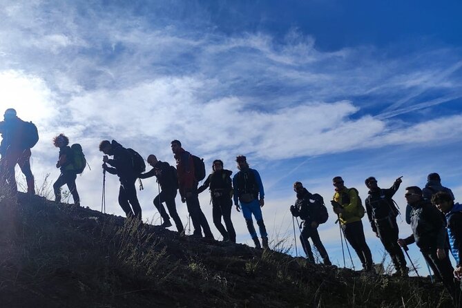 Vesuvius, V.I.P. the only Tour with Volcanological Guide - Key points to know before booking