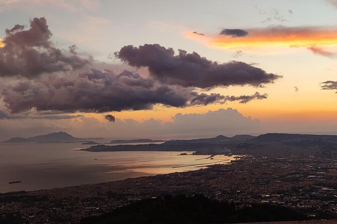 Vesuvius, V.I.P. the only Tour with Volcanological Guide - Is $215.54 good value?