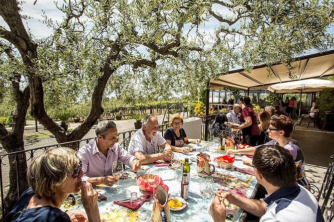 Vesuvius Wine Tasting Experience with Lunch Included - Arriving at the Trecase Vineyard