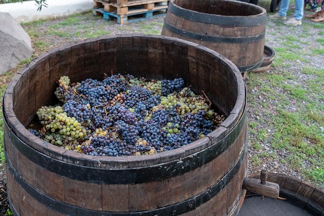 Vesuvius Wine Tasting Experience with Lunch Included - Pastiera, Passito, Grappa, or Apricot Distillate