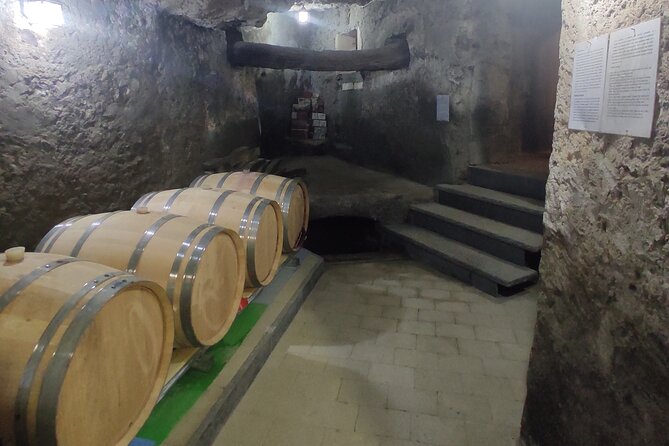 Vesuvius wine tasting with company tour - Key points to know before you go