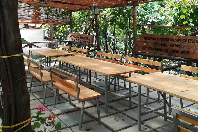 Vesuvius wine tasting with company tour - The tasting table is part of the experience