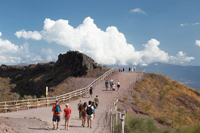 Vintage Van Experience: Tour and Transfer to Mt. Vesuvius - What this Mount Vesuvius tour actually offers
