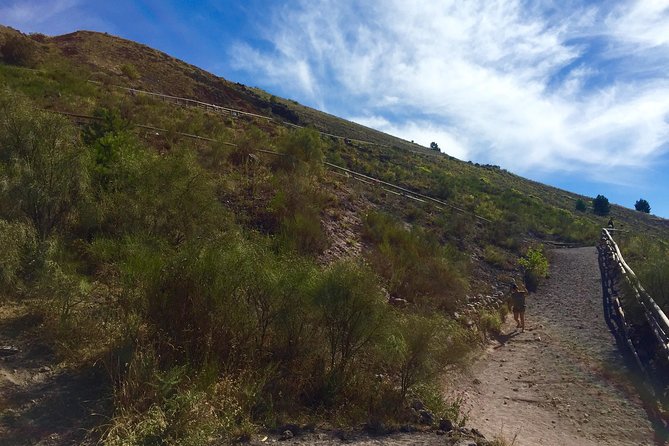 Vintage Van Experience: Tour and Transfer to Mt. Vesuvius - The guide, the driver, and what to expect from each