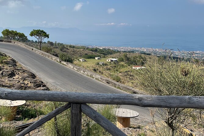 Visit Mt Vesuvius & Pompeii skip the line tickets from naples - Who will enjoy this experience most