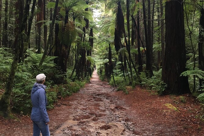 Volcanic Rotorua Day Trip from Auckland - Choosing Wai-O-Tapu or another Rotorua attraction