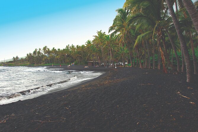 Volcano Adventure: Hilo Sightseeing w/ Optional Helicopter Tour - Starting with Hilo’s Banyan Drive