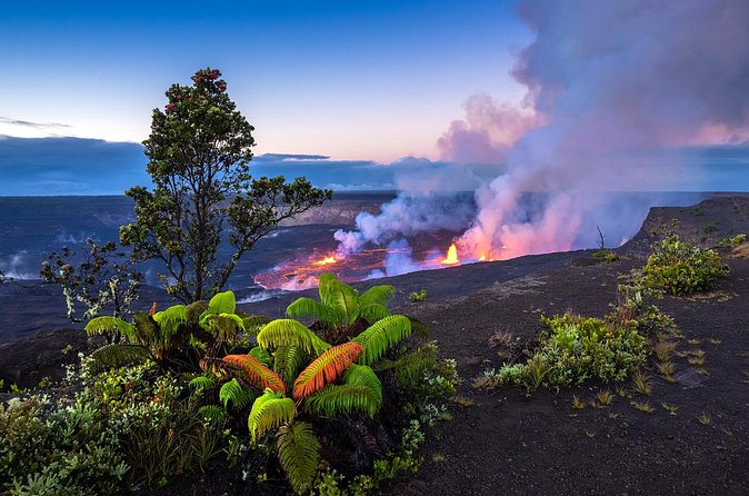 Volcano Adventure: Hilo Sightseeing w/ Optional Helicopter Tour - Akaka Falls and the rainforest side of the island