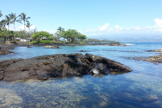 Volcano Adventure Tour & Waterfall - Shore Excursion from Hilo Harbor - Timing Is the Tour’s Biggest Weak Spot