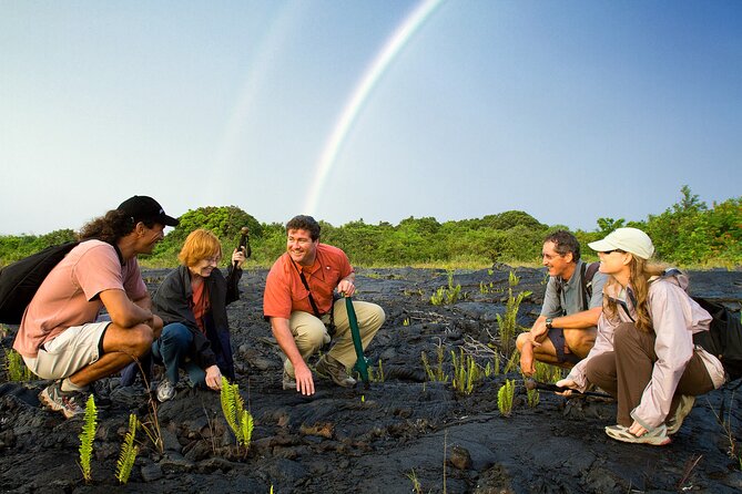 Volcano, Chocolate and Waterfalls of the Big Island - Why this 11-hour Big Island day works