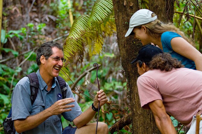 Volcano, Chocolate and Waterfalls of the Big Island - The private cacao farm in Hilo
