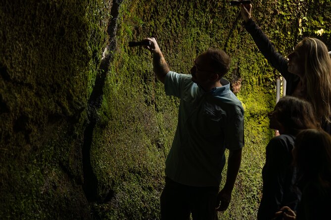 Volcano Explorer Tour - Why a small van improves a long day