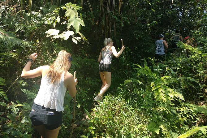 volcano hike and jungle trekking adventure - Rice plantations and the changing view