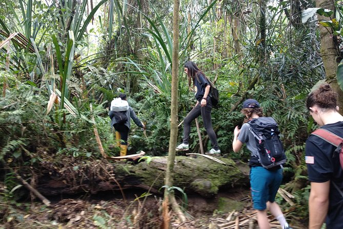 volcano hike and jungle trekking adventure - Lunch, water, and what the $76.89 price covers