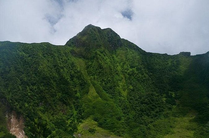 Volcano Hike in St. Kitts - The rainforest trail is more than a warm-up