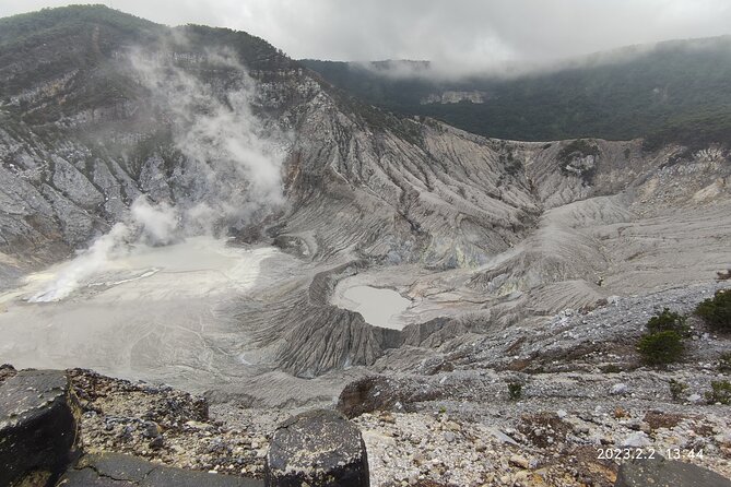 Volcano, Hot Spring, Tea Factory, rice fields and Coffee Tour - Why This Day Trip Works From Jakarta