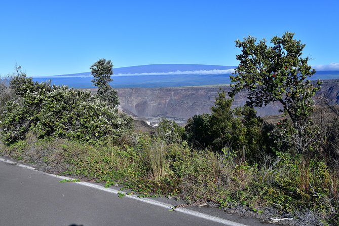 Volcano National Park Adventure From Kona - Kona coffee country starts the morning
