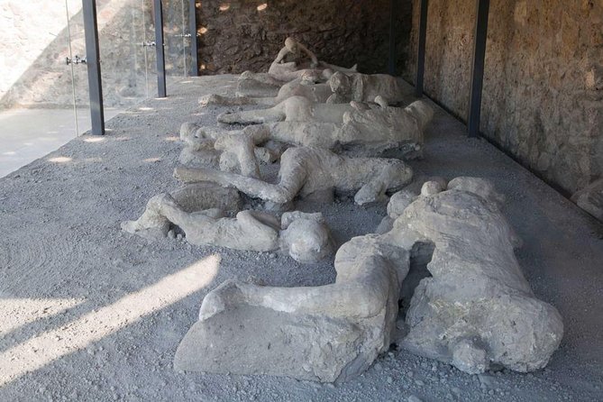 Volcano & Ruins: visit Mt. Vesuvius, Herculaneum and Pompeii tour - Pompeii with two hours on the clock