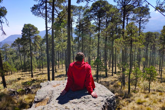 Volcano Tour to Iztaccihuatl - A friendly atmosphere, with limited public feedback