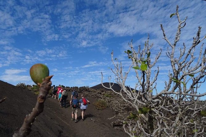 Volcano Trekking Tour (Timanfaya eruptions) - Why this Timanfaya walk is worth your morning
