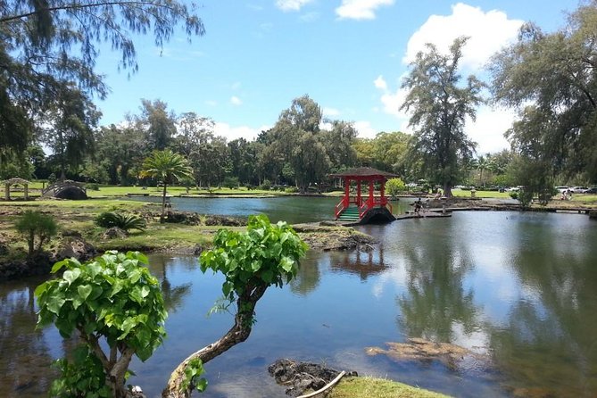 Volcanoes Adventure Tour from Hilo - Timing, transport, and the risk of a rushed schedule