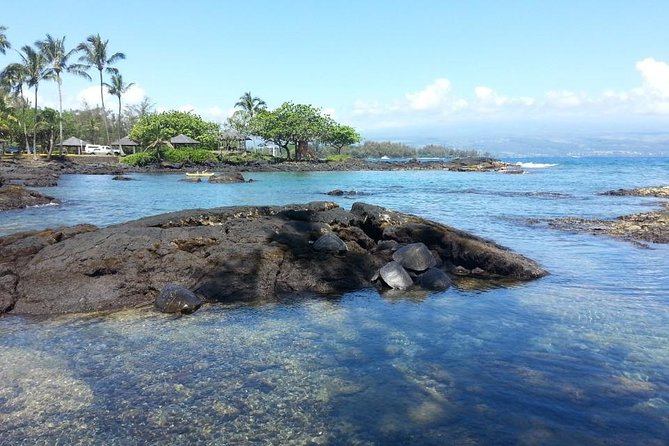 Volcanoes Adventure Tour from Hilo - Who will enjoy this tour most