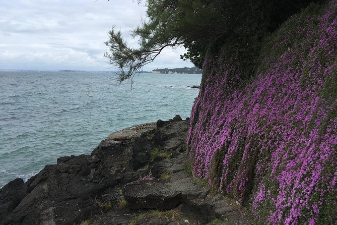 Volcanoes, Coasts, and Secret Spots Afternoon Tour in Auckland - What makes the guide important