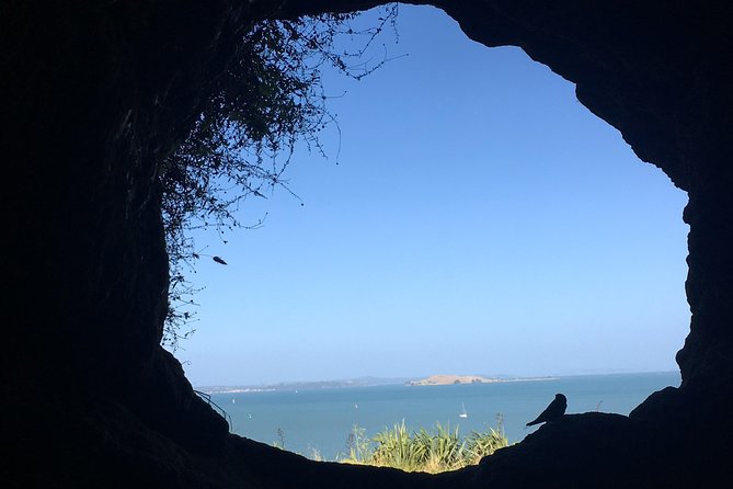 Volcanoes, Coasts, and Secret Spots Afternoon Tour in Auckland - A useful afternoon schedule from central Auckland