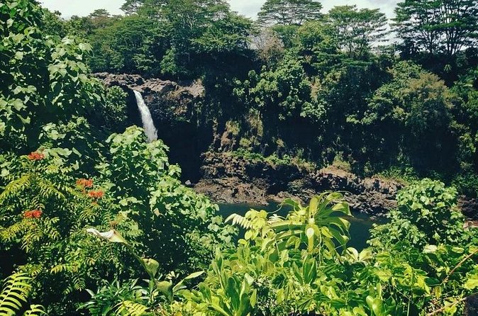 Volcanoes National Park Adventure Tour - Hilo Shore Excursion - Richardson Ocean Park is the most uneven stop