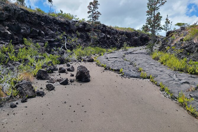 Volcanoes National Park and Hilo Private Tour - A Guide Can Make or Break the Park Visit