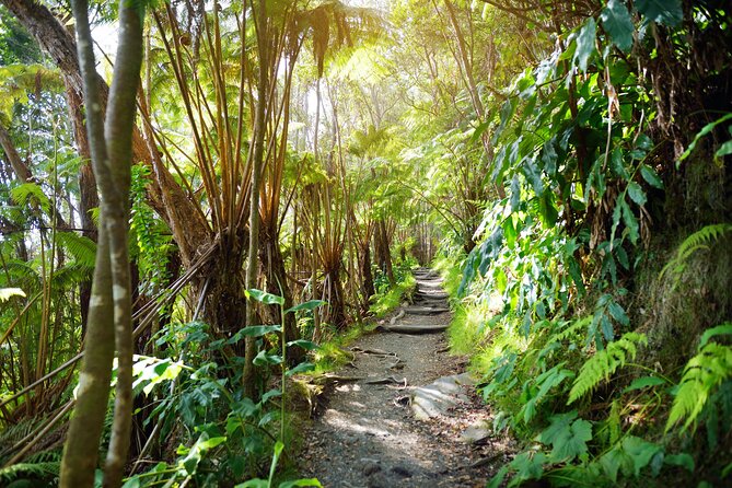 Volcanoes National Park: Guided, Small-Group Hike - Thurston Lava Tube in the middle of the route