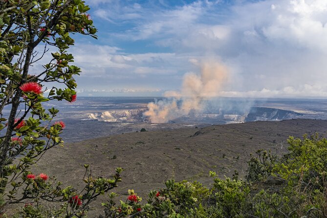 Volcanoes National Park: Guided, Small-Group Hike - Native Hawaiian forest and the quieter finish