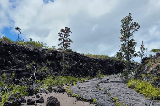 Volcanoes National Park Private Tour - Big Island Candies adds a welcome local pause
