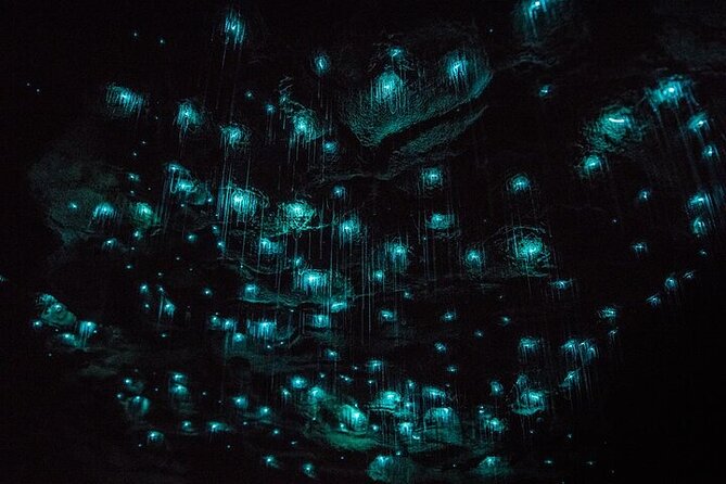 Waitomo Glow Worm Caves & Te Puia - Rotorua's Geothermal Valley - Entering the Waitomo Glow Worm Caves