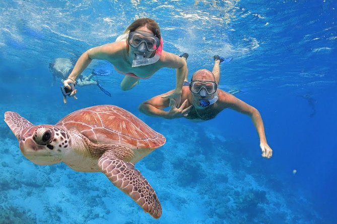 Waitukubuli Volcano Snorkeling - What makes this snorkeling trip worth your time