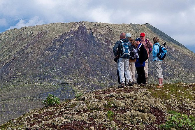 Walking Tour through La Corona Volcano and Famara Cliff - Pickup, timing, and the practical side