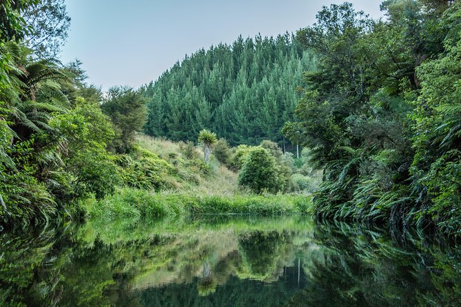 Whaka Geothermal Trails Self-Guided Tour - Self-guided freedom, with less explanation