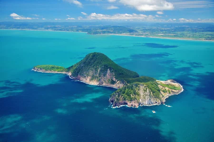 Whakaari - White Island Cultural and Flight Experience - Key points before you book