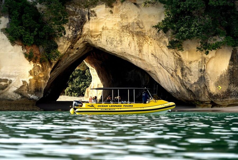 Whitianga: 2-Hour Cathedral Cove and Volcanic Coast Cruise - Lonely Bay, Cooks Beach, and Hahei